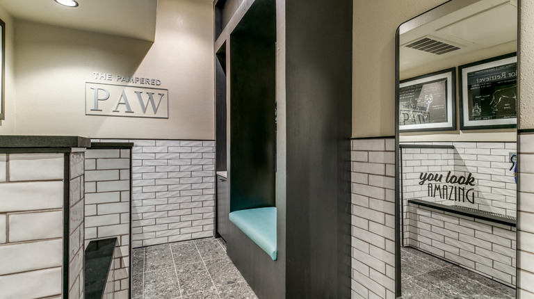 The Pampered Paw pet spa