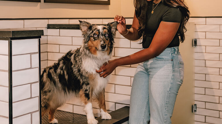 Pet-friendly